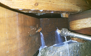 新潟支店スタッフの画像