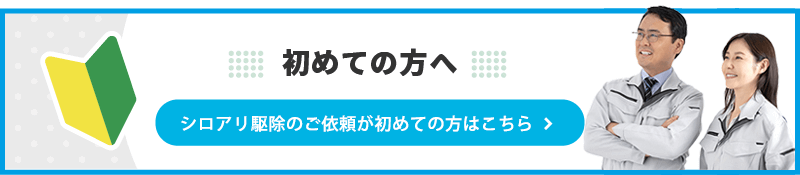 シロアリ駆除のご依頼が初めての方はこちら