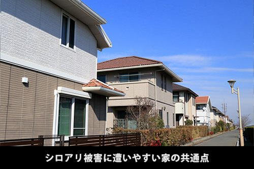 シロアリ被害に遭いやすい家の共通点