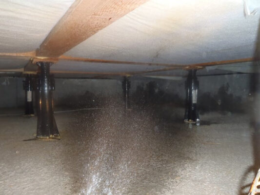 使う薬剤も人にやさしく、効果はしっかりあるとのことで信頼できました。