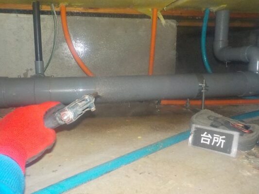 天井裏の雨漏りを見つけてもらえたのは大きな助けになりました
