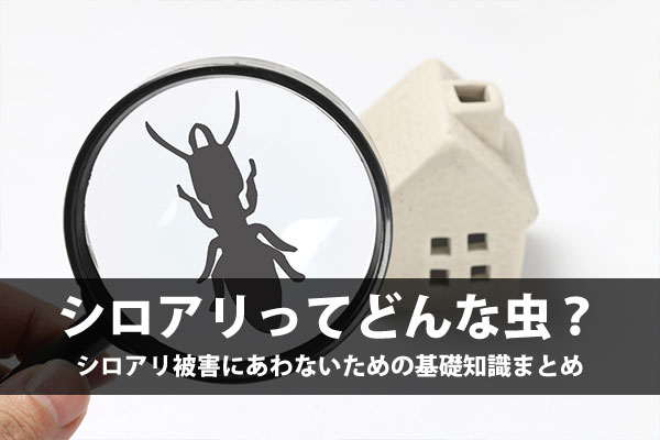 シロアリってどんな虫?