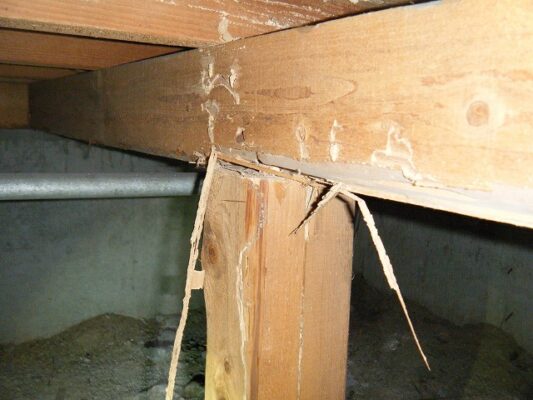 繁忙期にもかかわらずいろいろと親切に対応いただけたのでとても良かったです