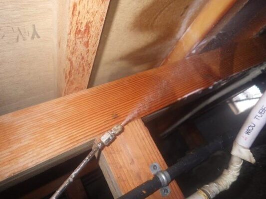 イエシロアリという被害の大きくなる種類のアリだったので、母屋と離れも診断後に消毒してもらいました