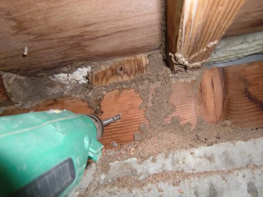 床下の湿気についても相談に乗っていただき助かりました