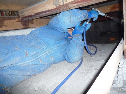 春になる前に駆除作業していただき、安心を買ったと思います