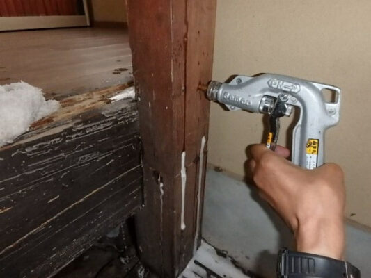 最初は「ネット経由って大丈夫かな…」と少し不安もあったんですが