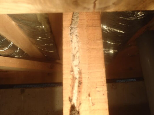 昨年の夏頃にイエシロアリの羽アリが玄関で大量に発生したので