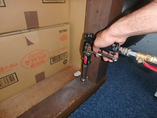 緊急対応枠でやって下さるとのこと、蟻道が広がっていたので本当に助かりました。