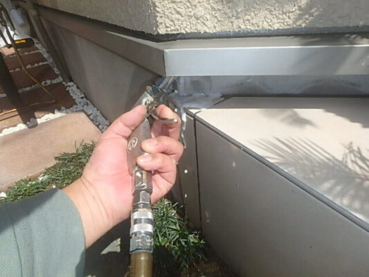 羽蟻が部屋中にあふれていたあの光景は二度と見たくないです