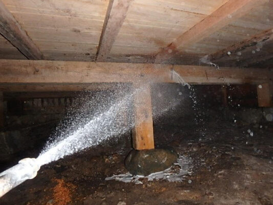 頼んでよかったと思いました。価格も十分に納得できるものでした。