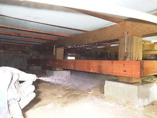 思っていたより被害がひどくなくてホッとしました