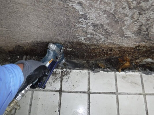 床下の写真を見て害虫やカビの多いことにびっくりしました
