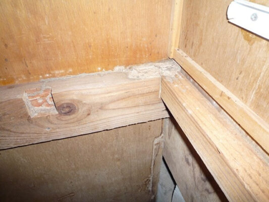 わかりやすくて納得のうえで駆除の依頼ができました