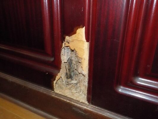 玄関先の枕木まで対応してもらえたのは本当に助かりました