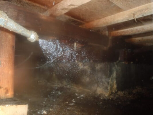 ハウスメーカーの点検が高額だと感じたので自分で業者さんを探すことにしました