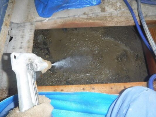 被害が心配な場所には丹念に穴あけ消毒してもらえました