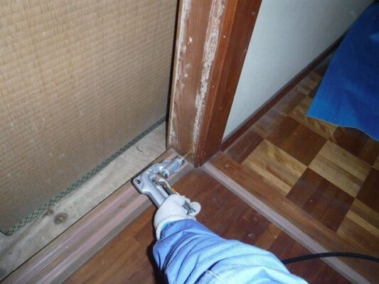 昨年の秋ごろに羽ありが家の中で発生した事を話すと