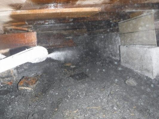 予約が混んでいて少し待ちましたが頼んで良かったです