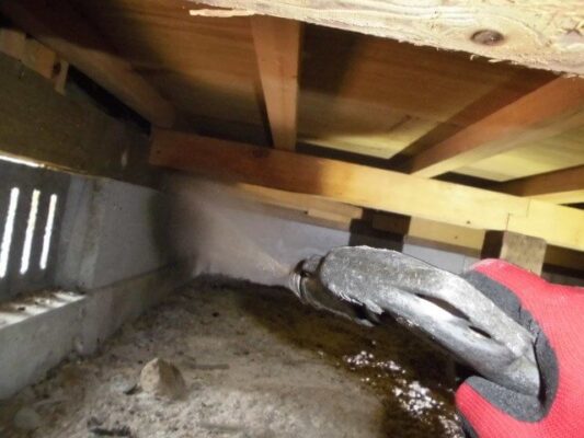 被害が広がる前だったようで軽微な被害で済みました