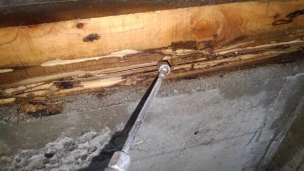 不要な工事をすすめられることもなく、終始安心してお任せできました。