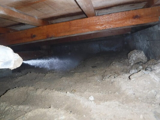 羽アリが出始めると収集がつかなくなって駆除も困難になるみたいなので