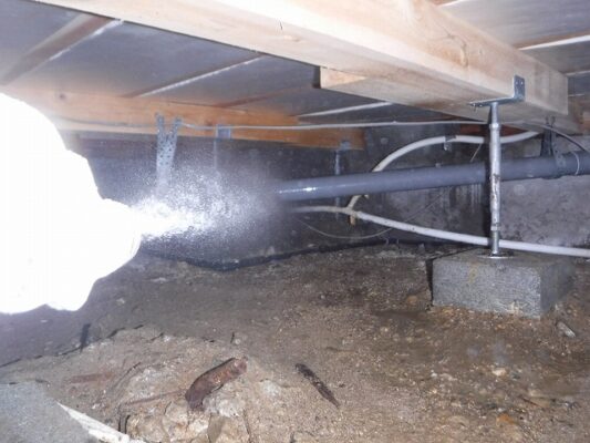 カビもたくさんあったので剥離処理もお願いしました