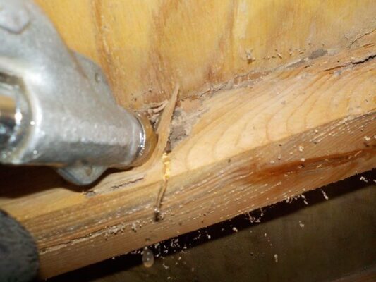 畳屋さんに表替えの依頼をする前に消毒してもらうことになりました