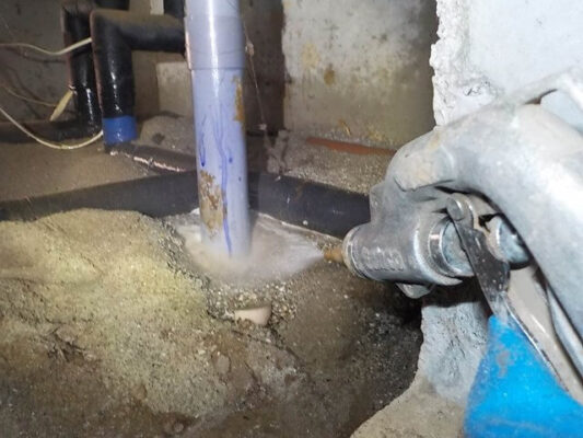 3時間ほどでウッドデッキも含めて消毒いただきました