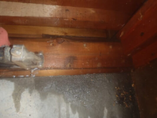 診断時も優しく説明してくださったりと安心感と納得感がありました