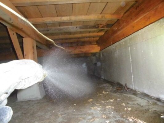 外周や外壁も含めて薬剤処理をしていただきました