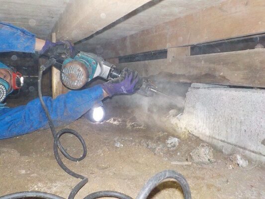 不安なく作業日を迎えられました。先日駆除していただいたばかりですが大満足です。