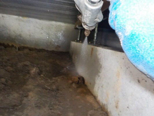 ウッドデッキ付近の防草シートの下に巣がありました