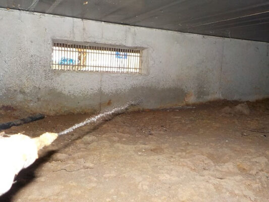 そろそろお願いしなければと毎年思いながらもコロナで先延ばしにしてきました