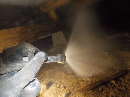 配管水漏れや害虫の有無など撮影した写真も使ってご説明いただきました