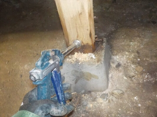 屋外用の虫よけ剤も散布してもらい、本当に助かりました。