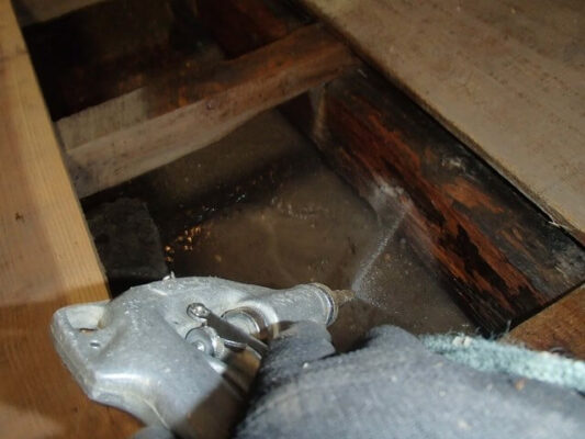 被害が広がらないようにまた数年後もお願いしたいと思います