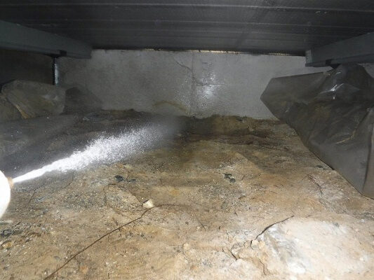 駆除するまでの流れが把握できたので不安もなかったです