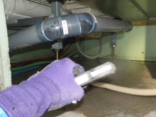 実家が白蟻で大きな被害にあったのかキッカケで診断をお願いしました