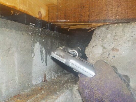 蟻道があったのですが心配してた程には広がっていなくて一安心です