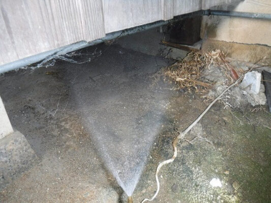 口コミ数が多い理由に納得しました。もっと早く依頼していればよかったと思いました。