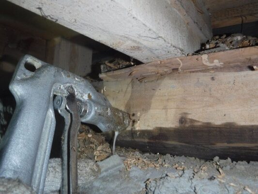 他の害虫対策なども色々お話しできて勉強になる時間でした