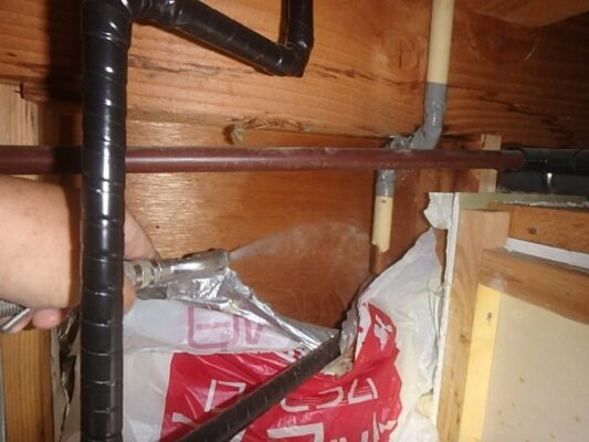 たっぷり薬剤を散布してくれたので素人目にも再発リスクは低そうです