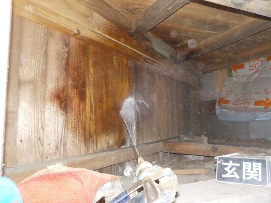 消毒工事の様子も写真で確認しましたが丁寧で手際よくて安心でした