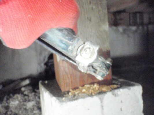 家の隅々まで確認してもらい徹底的に駆除してもらえました