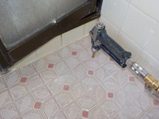 隈なく駆除してくださり羽アリがきれいにいなくなりました