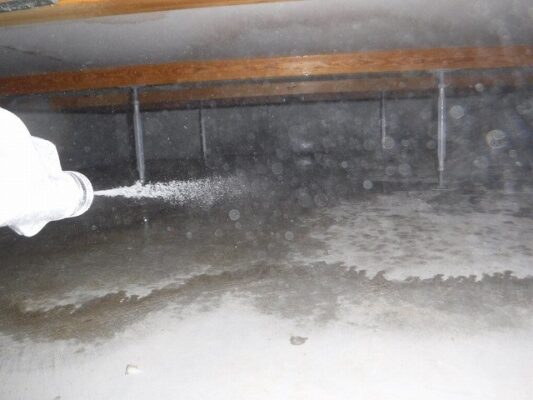 今後のメンテナンス方法についての注意点についても大変参考になりました