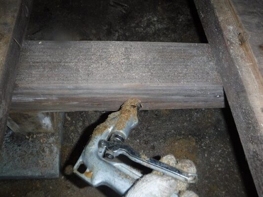 断熱材の除去や庭の切り株の消毒までやってもらって助かりました