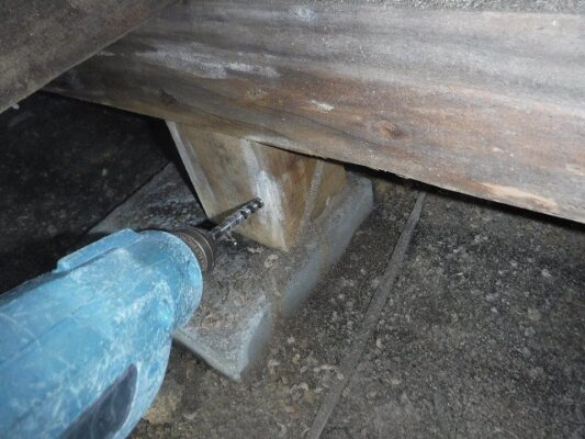 薬剤の選び方や散布方法など具体的なアドバイスもしていただきました