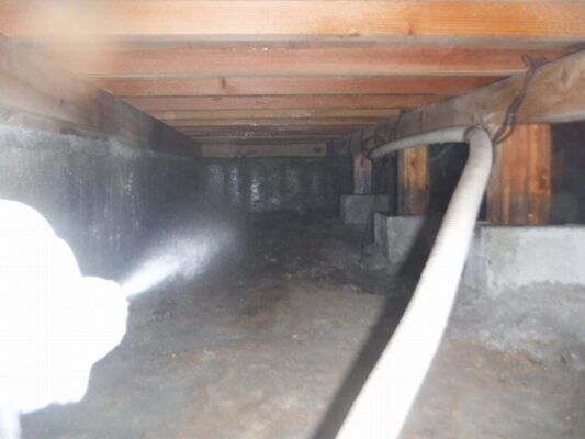 薬剤散布だけで2時間ほどかけてしっかり作業してくれたので安心しました